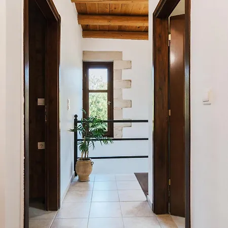 Elia Provarma - Your ハニア