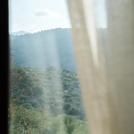 Elia Provarma - Your *