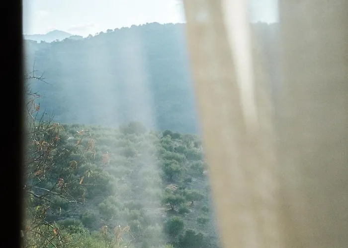 Elia Provarma - Your *